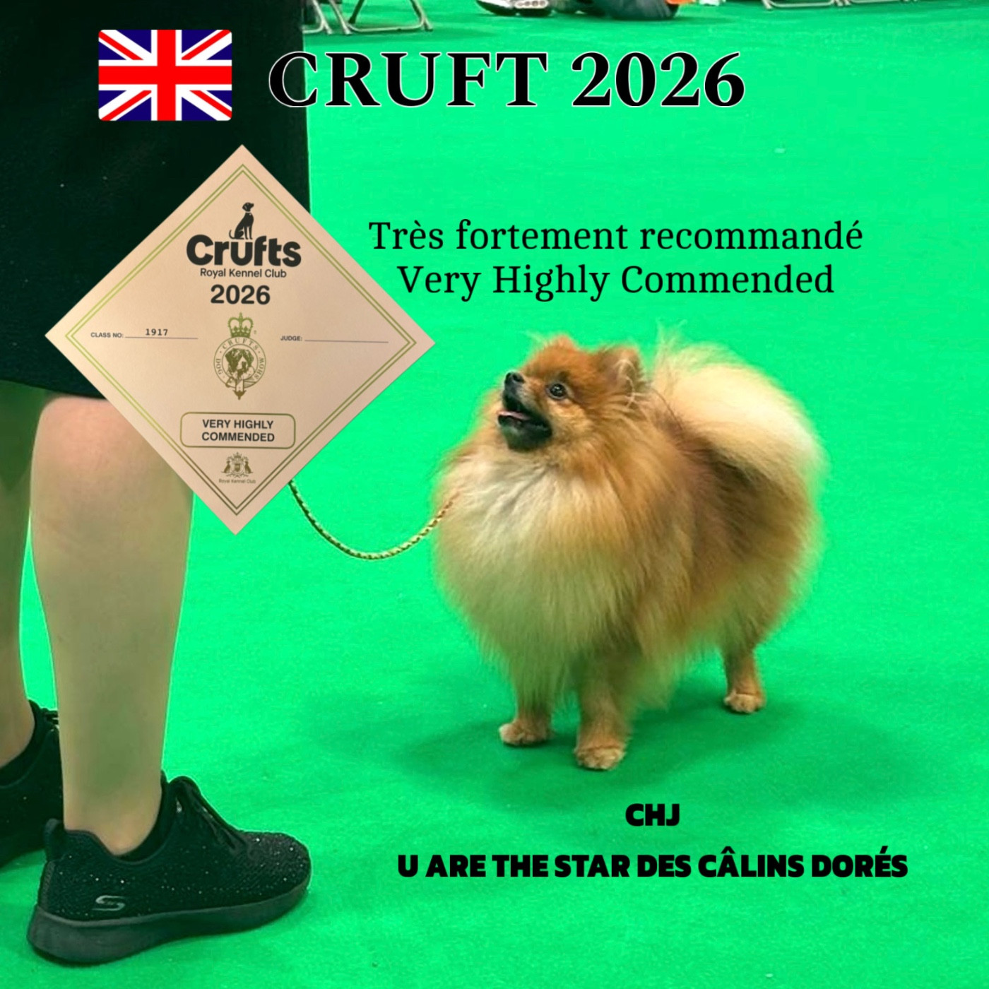 CRUFTS 2026 (ROYAUME-UNI)