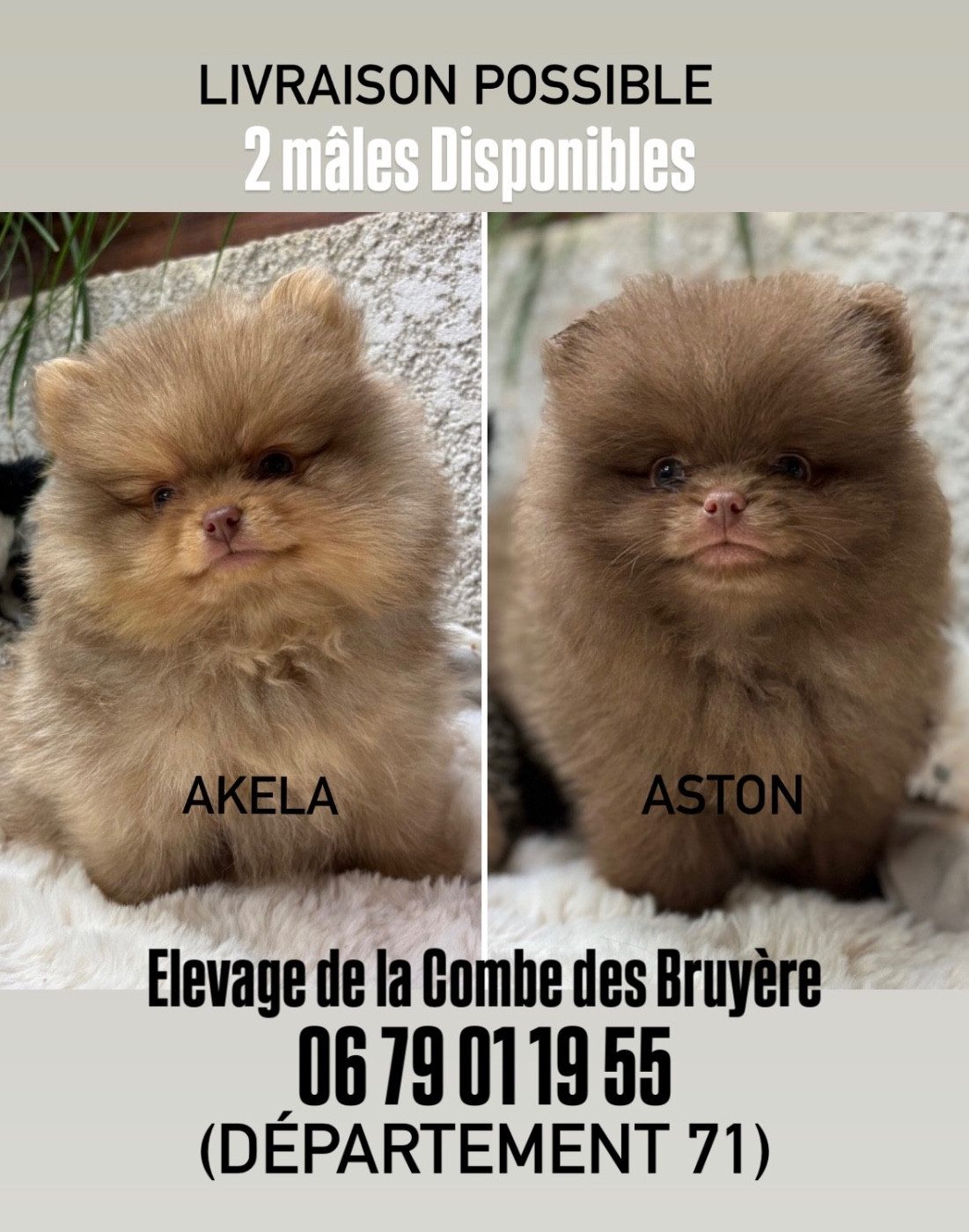 Uno des Câlins Dorés devient papa