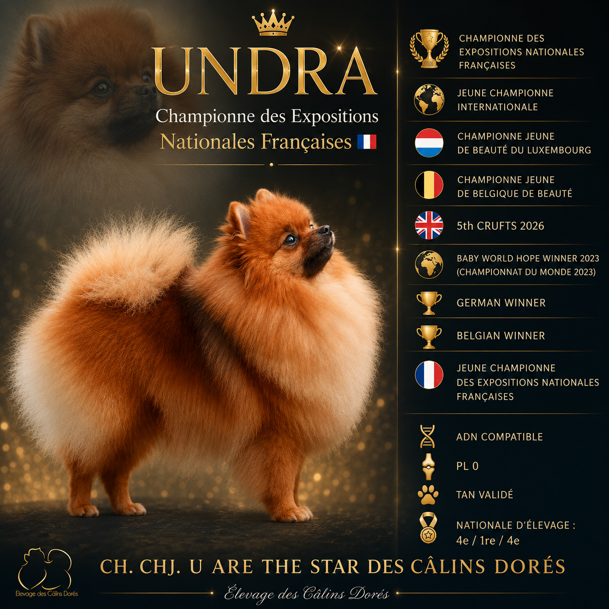 Une nouvelle championne des Expositions